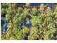 10 Barrington Street, Bergalia NSW 2537