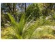 Lot 3/106 Meringo Road, Meringo NSW 2537