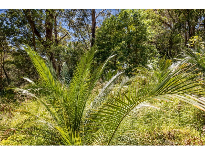 Lot 3/106 Meringo Road, Meringo NSW 2537