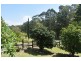44 Eurobodalla Road, Bodalla NSW 2545