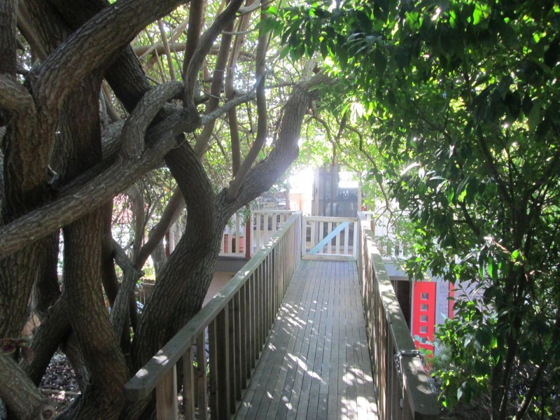 80 Coogee Street, Tuross Head NSW 2537