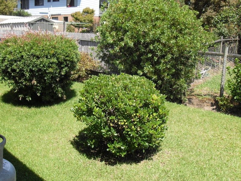 2 / 29 Swordfish Street, Tuross Head NSW 2537