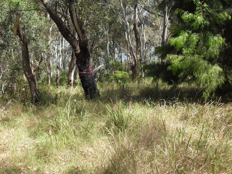 55 Trafalgar Road, Tuross Head NSW 2537