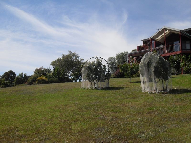 39 Skipjack Reach, Tuross Head NSW 2537