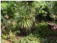 15 Brighton Street, Tuross Head NSW 2537