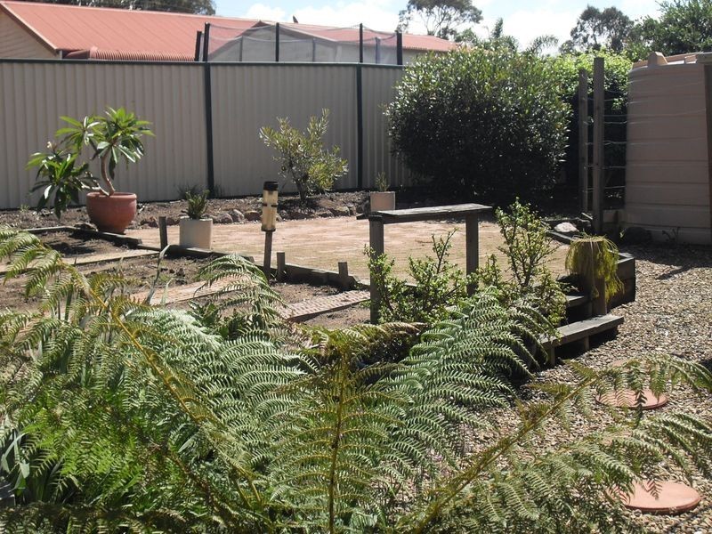 51 Coogee Street, Tuross Head NSW 2537