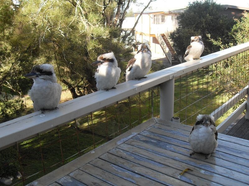 14 Beach Street, Tuross Head NSW 2537