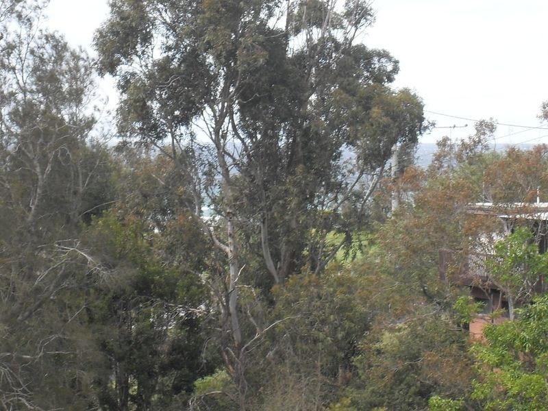 50 Jutland Avenue, Tuross Head NSW 2537