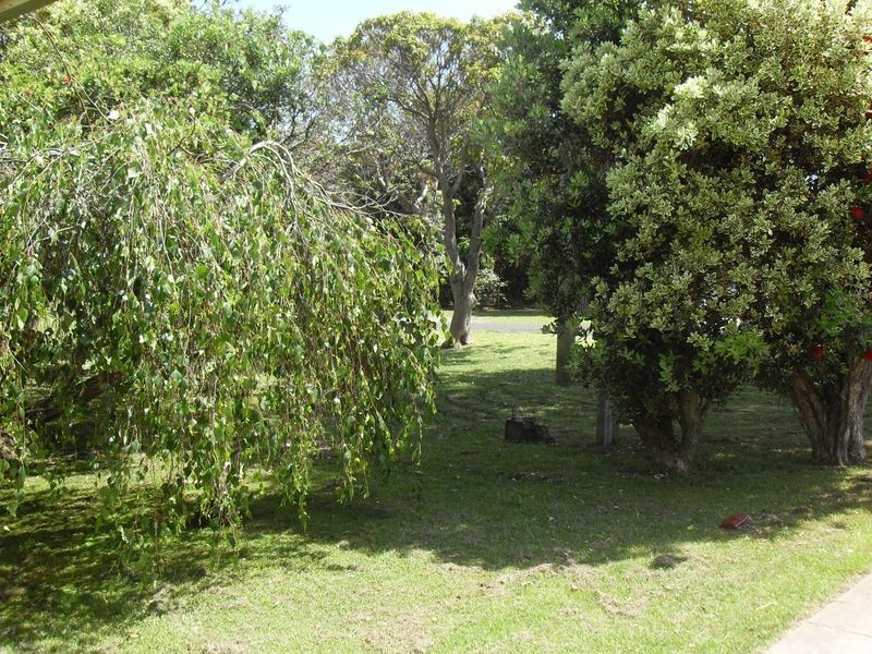 9 Trunketabella Street, Potato Point NSW 2545