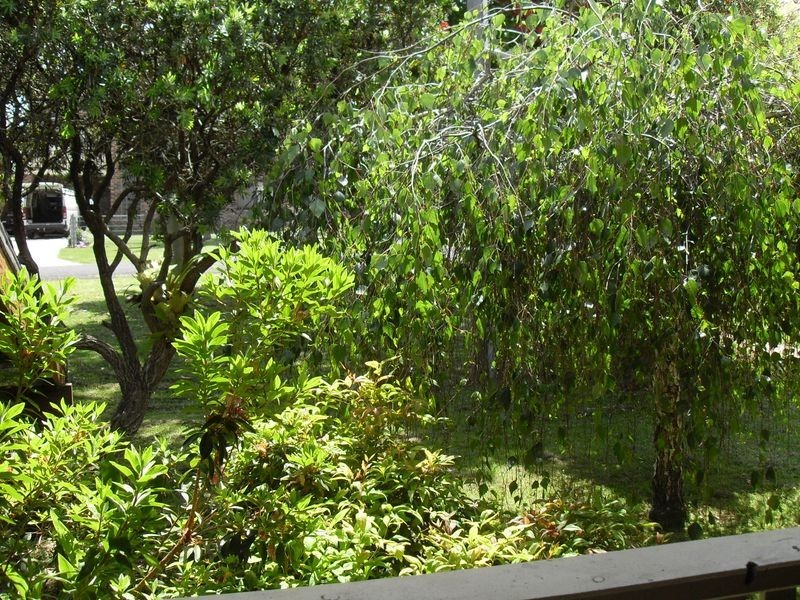 9 Trunketabella Street, Potato Point NSW 2545