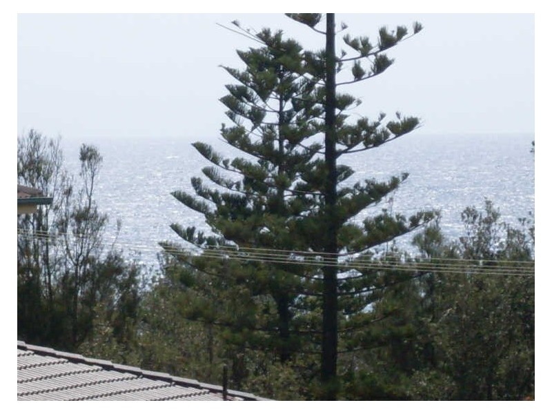 60 Evans Road, Tuross Head NSW 2537