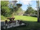 41 Evans Road, Tuross Head NSW 2537