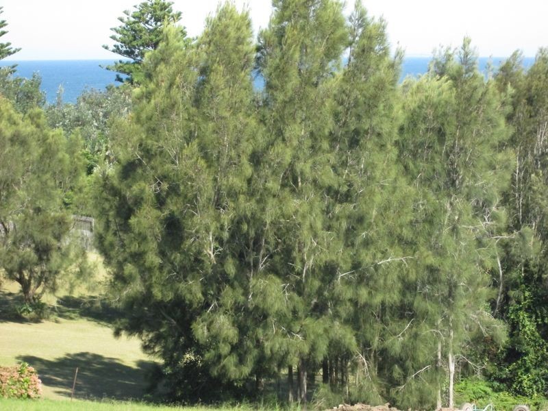 5 Waights Place, Tuross Head NSW 2537