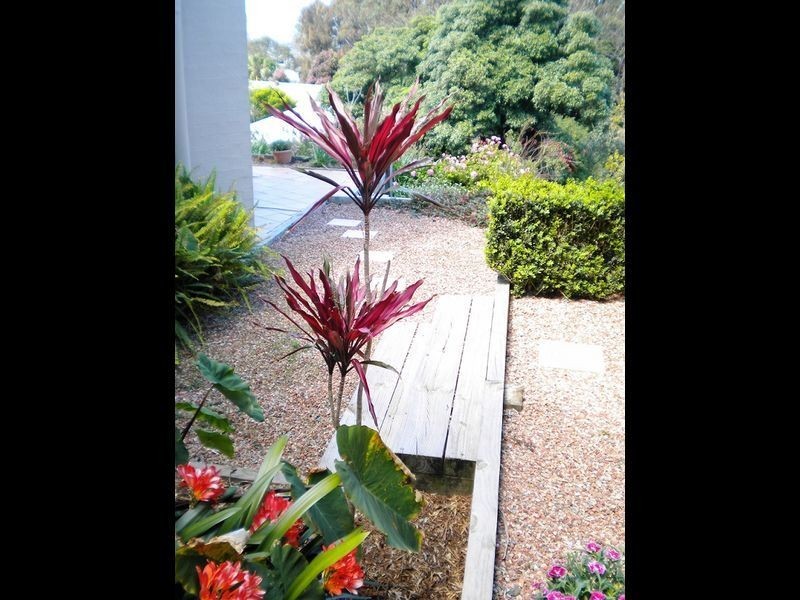 9 Beatty Crescent, Tuross Head NSW 2537