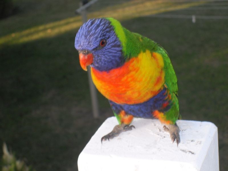 20 Beach St, Tuross Head NSW 2537