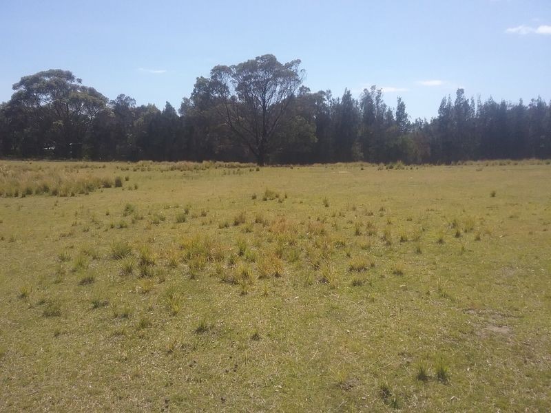 66 Arinya Place, Bingie NSW 2537