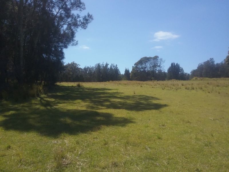 66 Arinya Place, Bingie NSW 2537