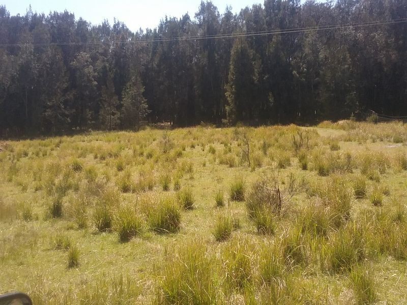 66 Arinya Place, Bingie NSW 2537