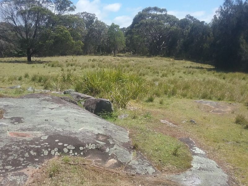 66 Arinya Place, Bingie NSW 2537