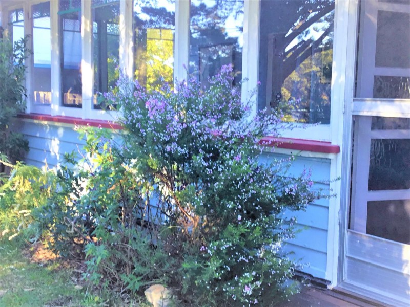 11 Jutland Avenue, Tuross Head NSW 2537