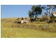 58 Bergalia Link Road, Bergalia NSW 2537