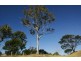 58 Bergalia Link Road, Bergalia NSW 2537