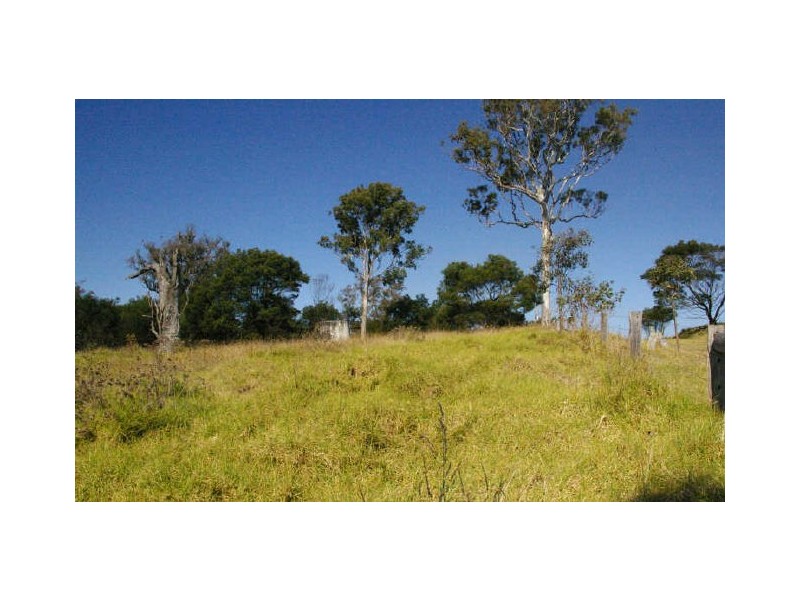 58 Bergalia Link Road, Bergalia NSW 2537