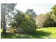 58 Bergalia Link Road, Bergalia NSW 2537