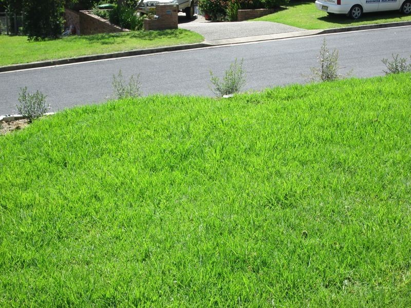 53 Bondi Street, Tuross Head NSW 2537