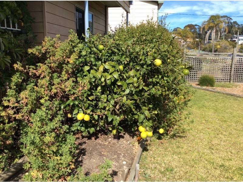 19 Anderson Avenue, Tuross Head NSW 2537