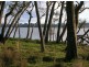 528 Bingie Road, Bingie NSW 2537