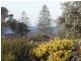 20 Beach St, Tuross Head NSW 2537