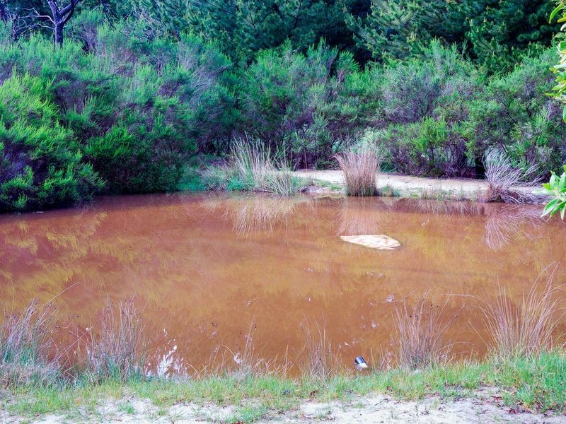 24 Eighteenth Avenue, Eden Park VIC 3757