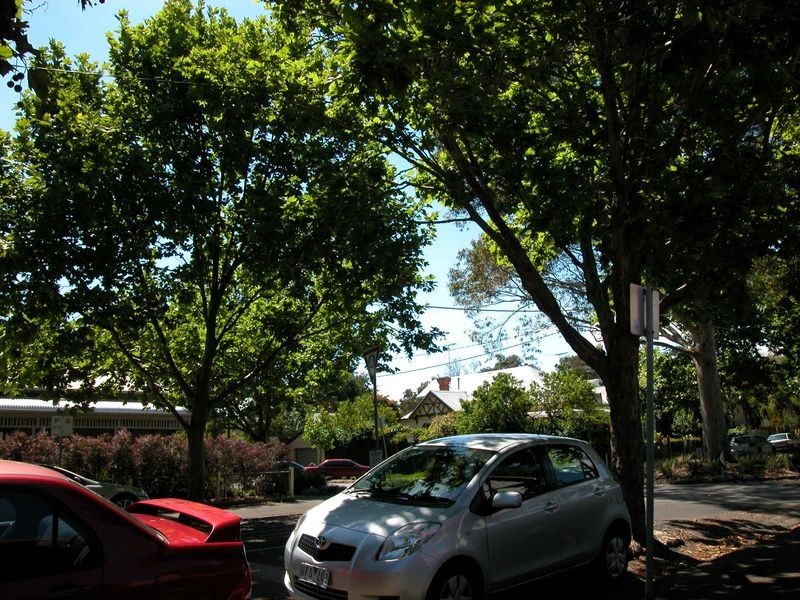 486 George Street, Fitzroy VIC 3065