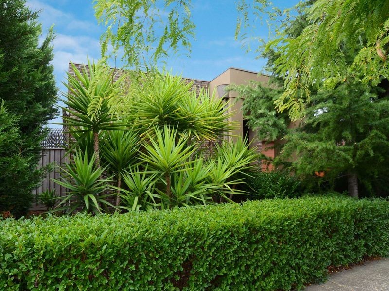 5 Moe Way, Mernda VIC 3754