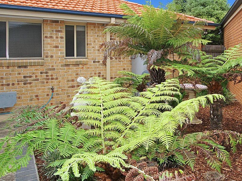 29 Scenic Terrace, South Morang VIC 3752