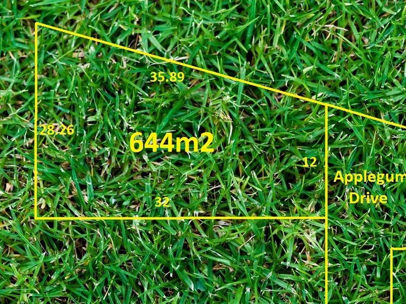 55 Applegum Drive, South Morang VIC 3752