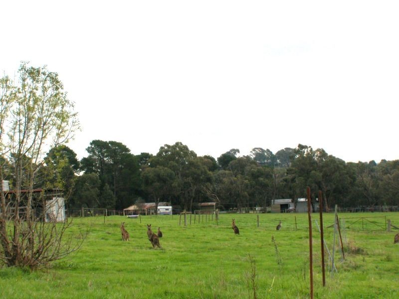 48 Northoatlands Road, Yarrambat VIC 3091