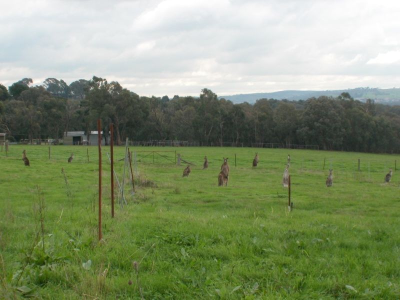 48 Northoatlands Road, Yarrambat VIC 3091