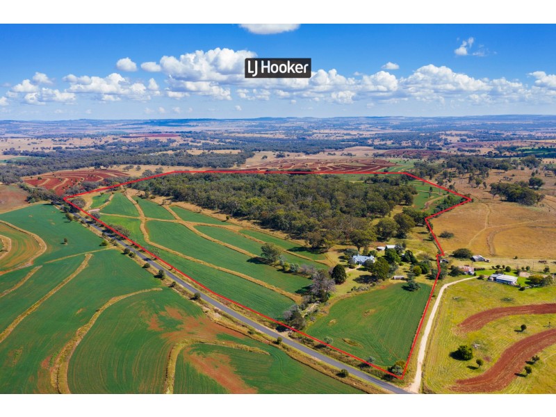 913 Nullamanna Road, Inverell NSW 2360