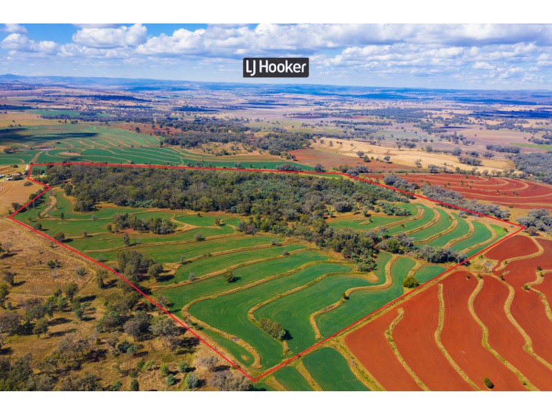 913 Nullamanna Road, Inverell NSW 2360