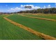 913 Nullamanna Road, Inverell NSW 2360