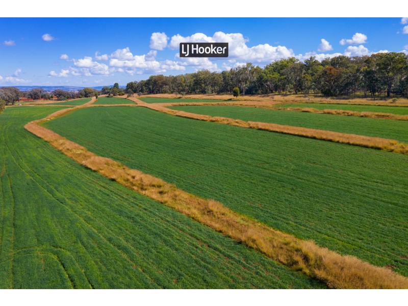 913 Nullamanna Road, Inverell NSW 2360
