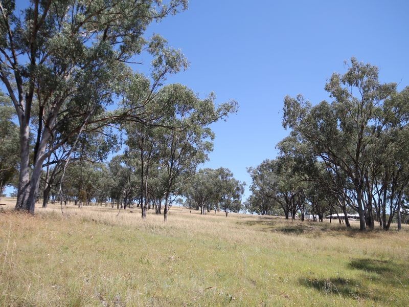Lot 1 Fisher Road, Inverell NSW 2360