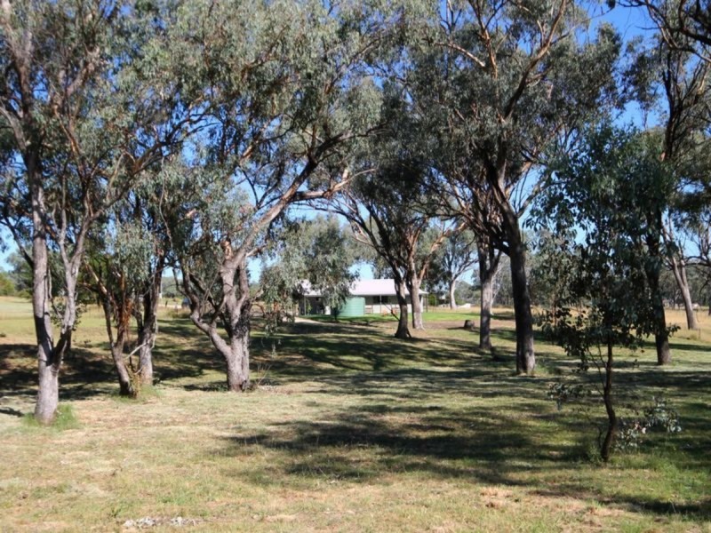 475 Fernhill Road, Inverell NSW 2360