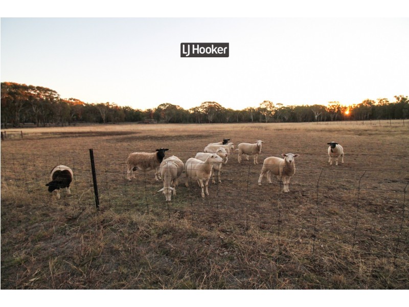 1010 Old Bundarra Road, Inverell NSW 2360