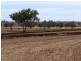 Yetman Road, Inverell NSW 2360
