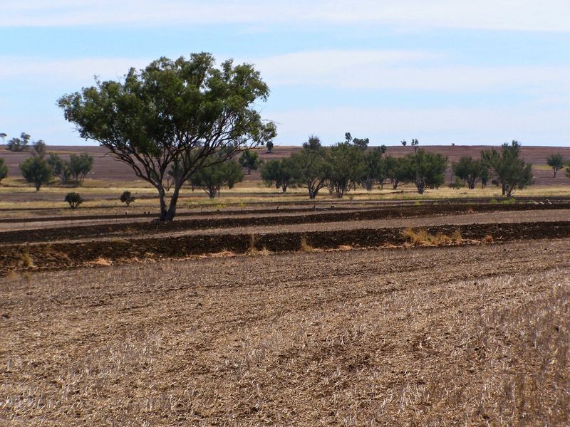 Yetman Road, Inverell NSW 2360