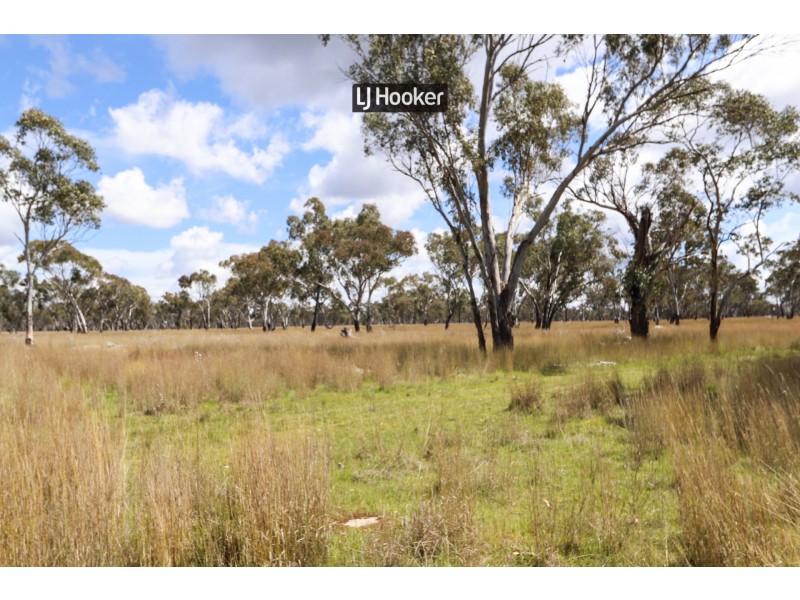 143711 Guyra Road, Tingha NSW 2369