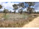 143711 Guyra Road, Tingha NSW 2369